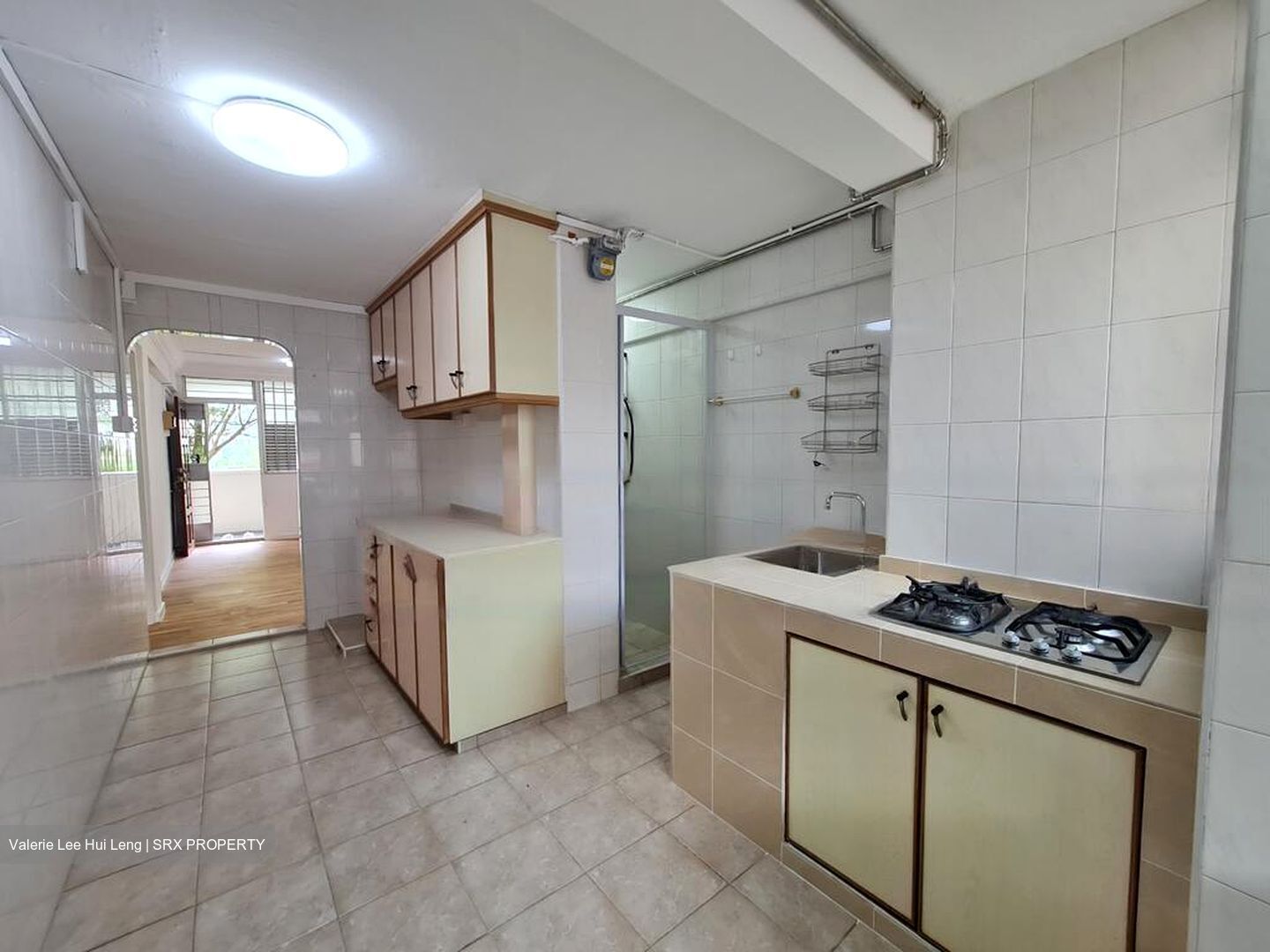 Blk 100 Commonwealth Crescent (Queenstown), HDB 3 Rooms #449732781